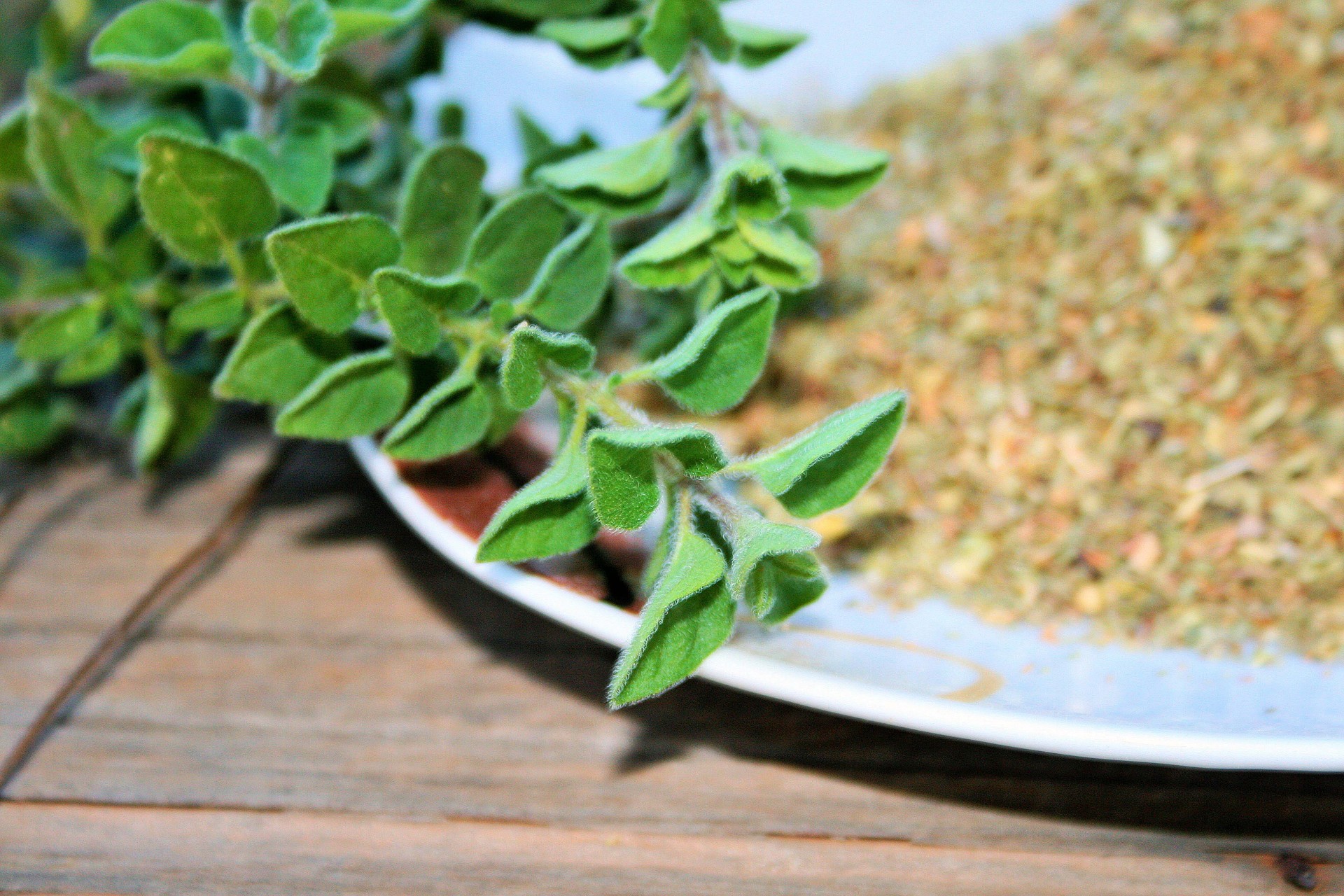 herbs fresh green free photo