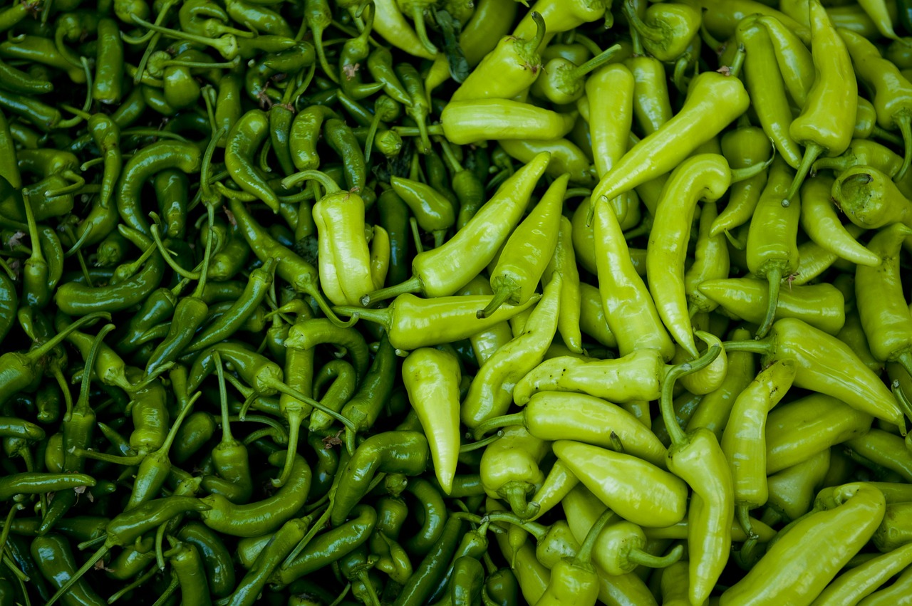 fresh peppers farmers market open air free photo