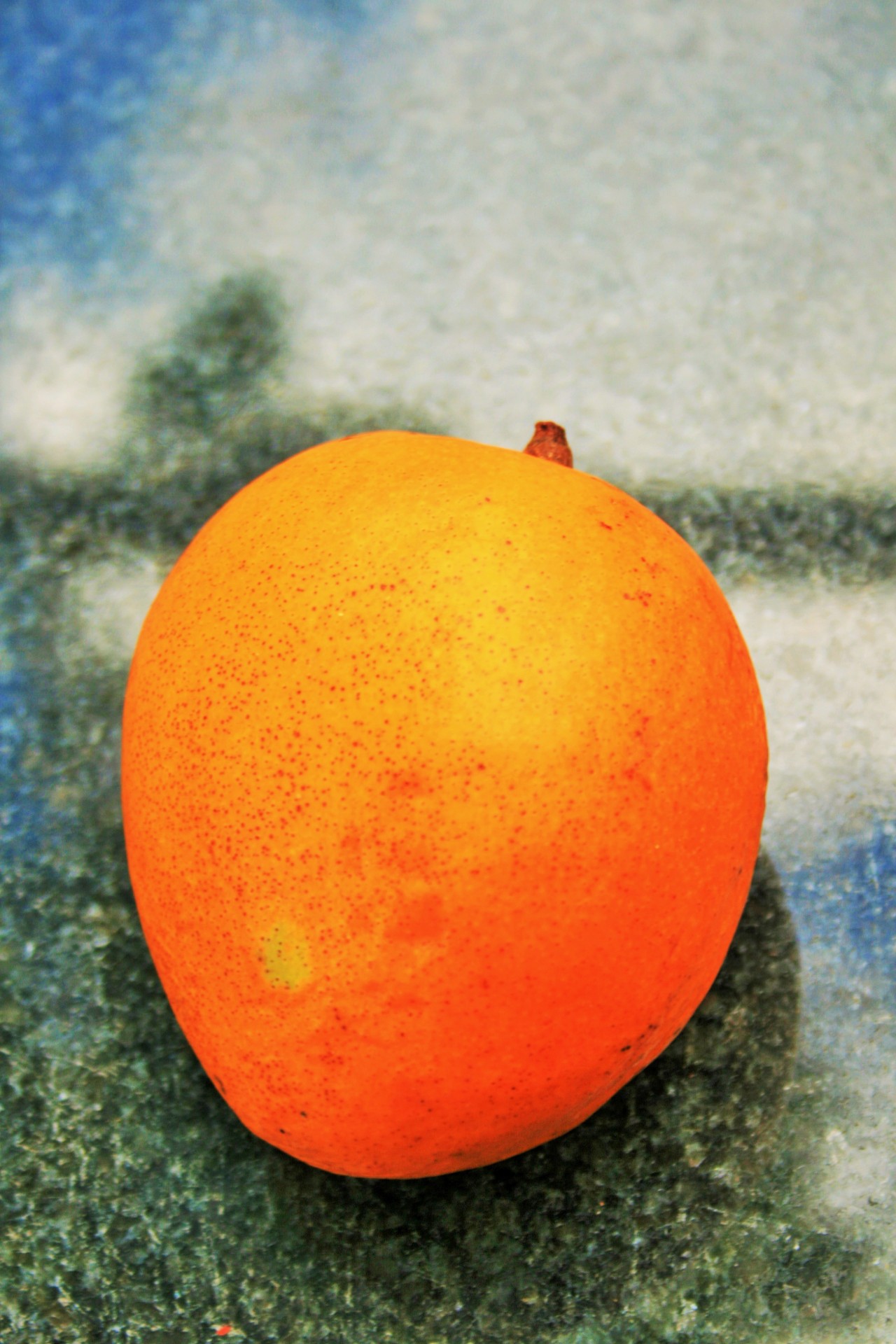 fruit mango round free photo