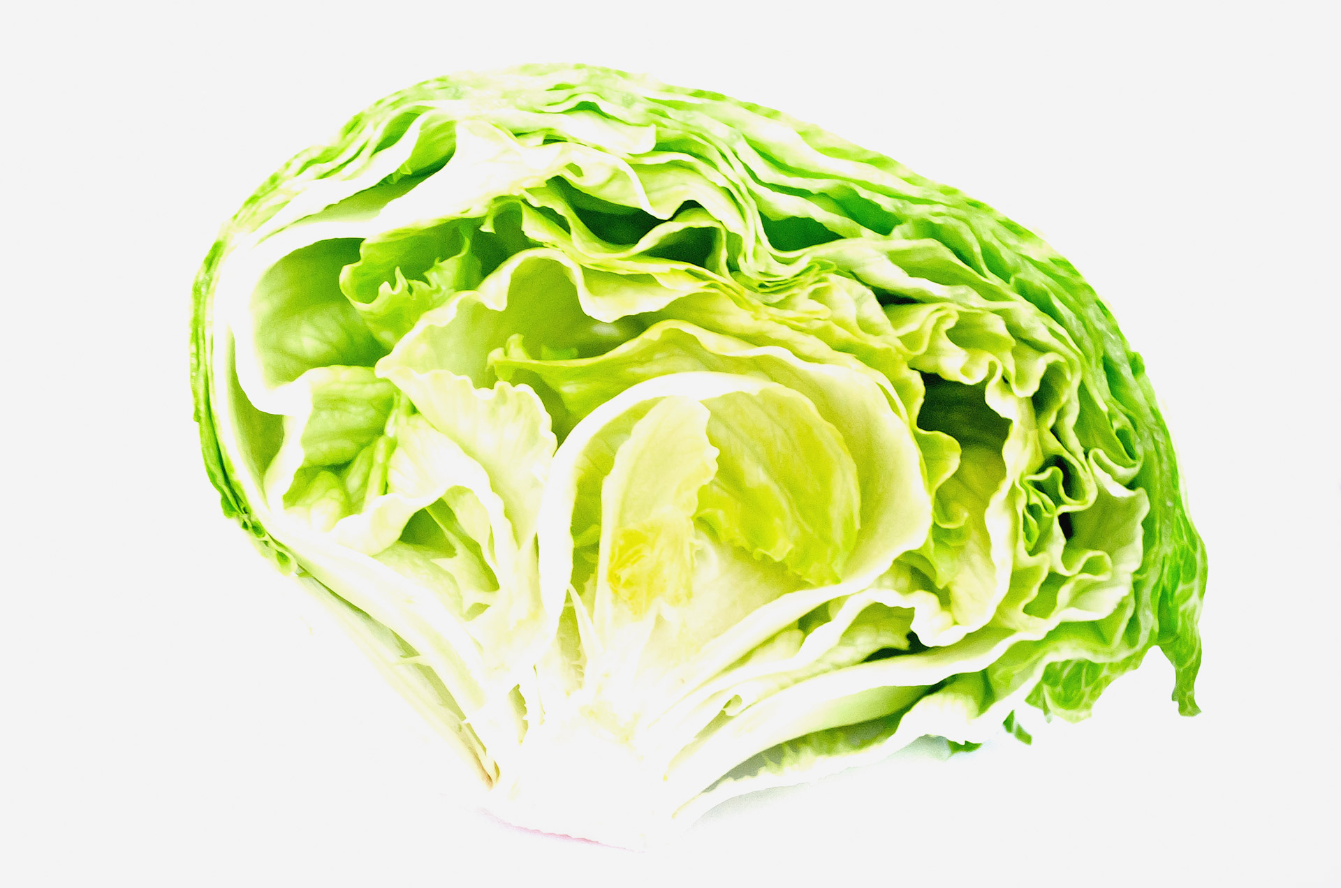fresh salad vegetables free photo
