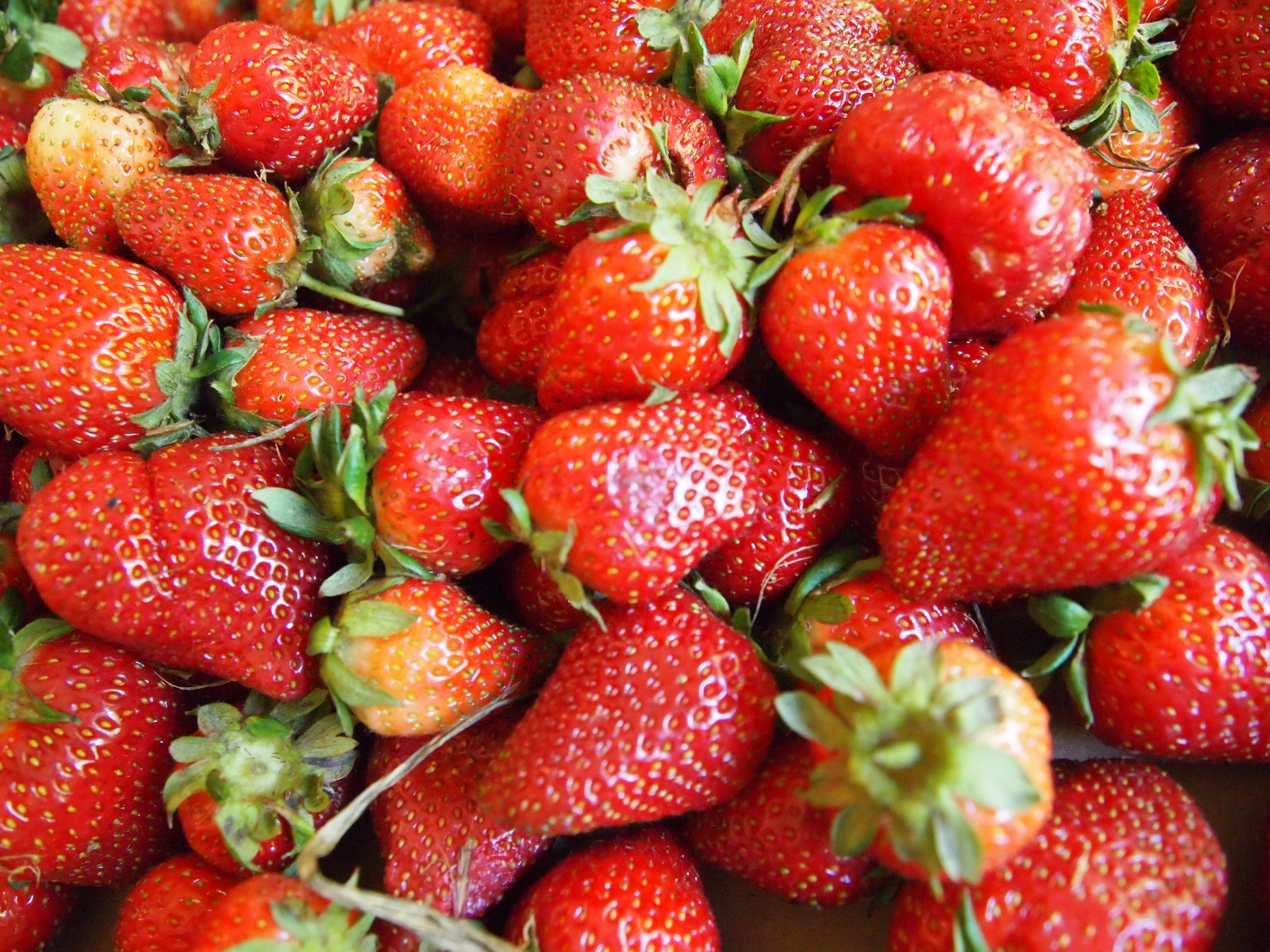 strawberries fruit food free photo
