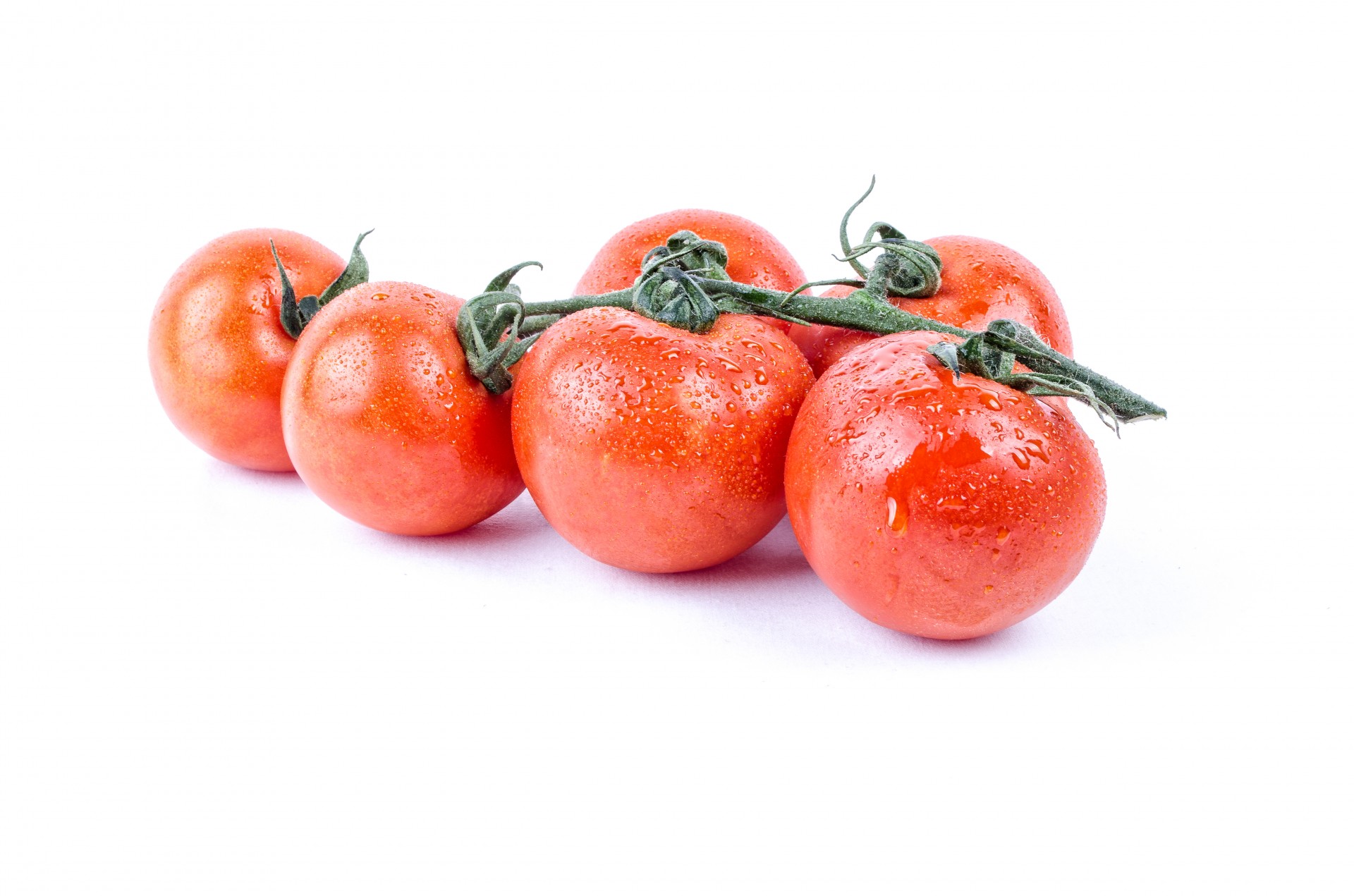 tomato fresh white free photo