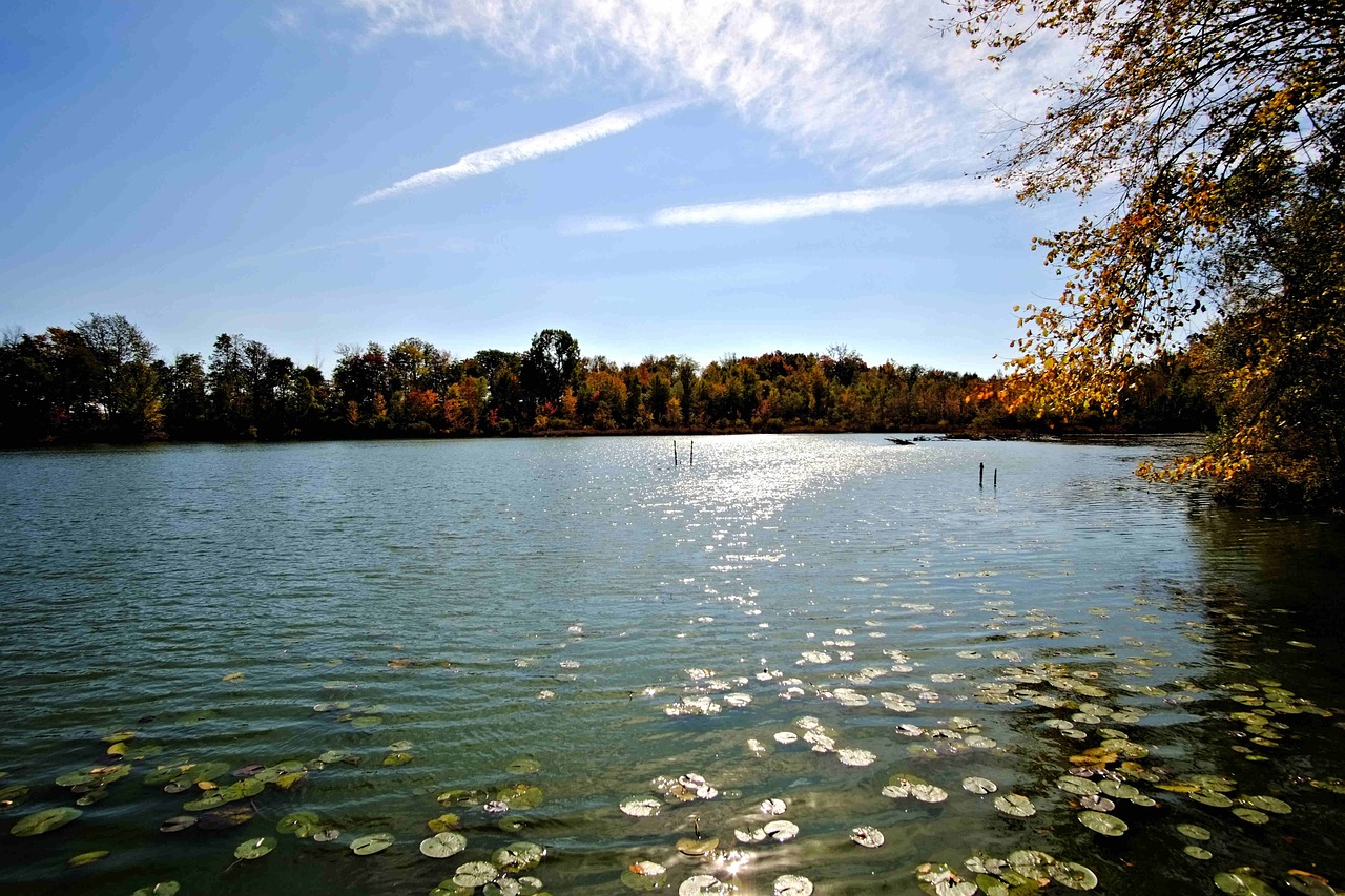fresh water lake inland sunlight free photo