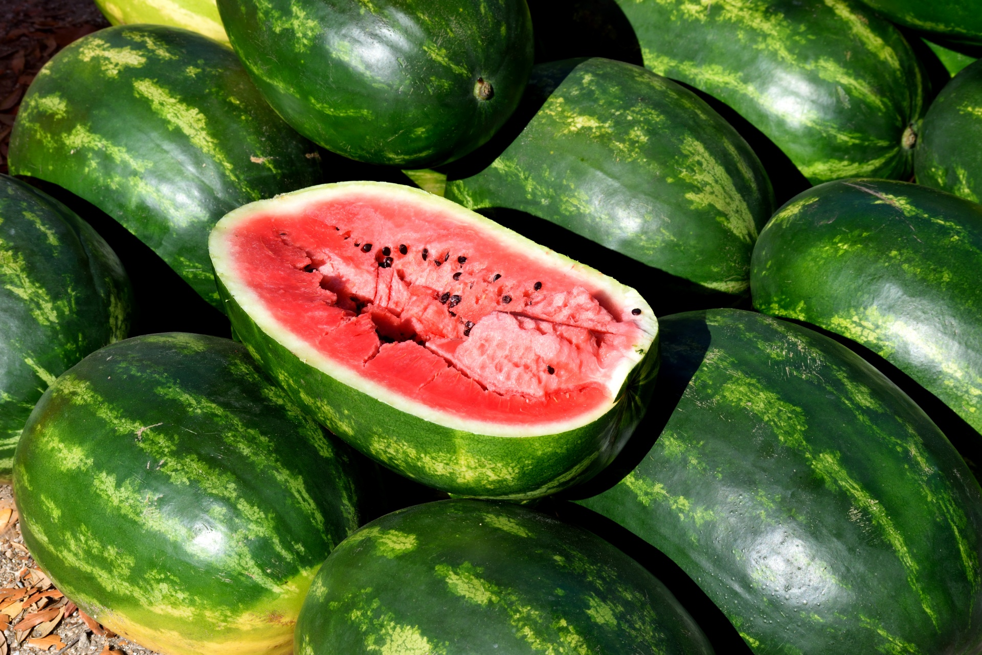 watermelons fruit food free photo