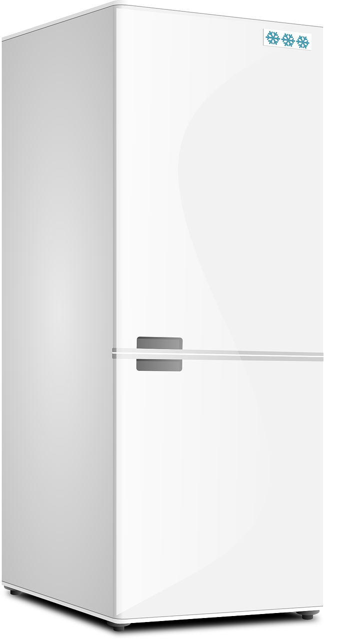 fridge kitchen refrigerator free photo