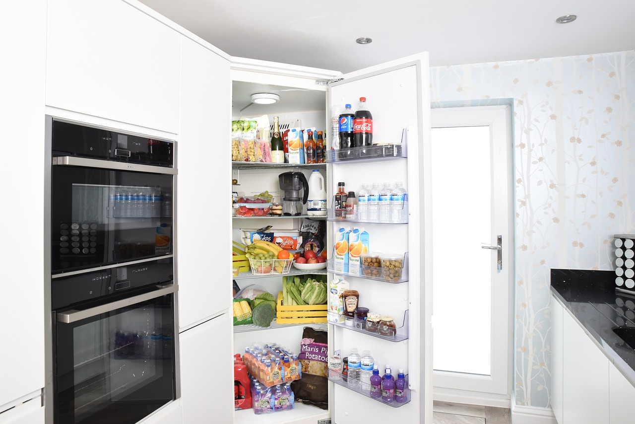 fridge  fridge door  refrigerator free photo