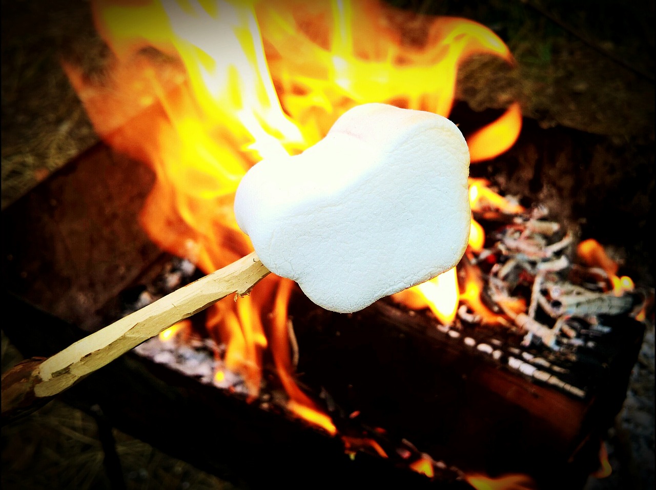 fried zephyr marshmallows free photo