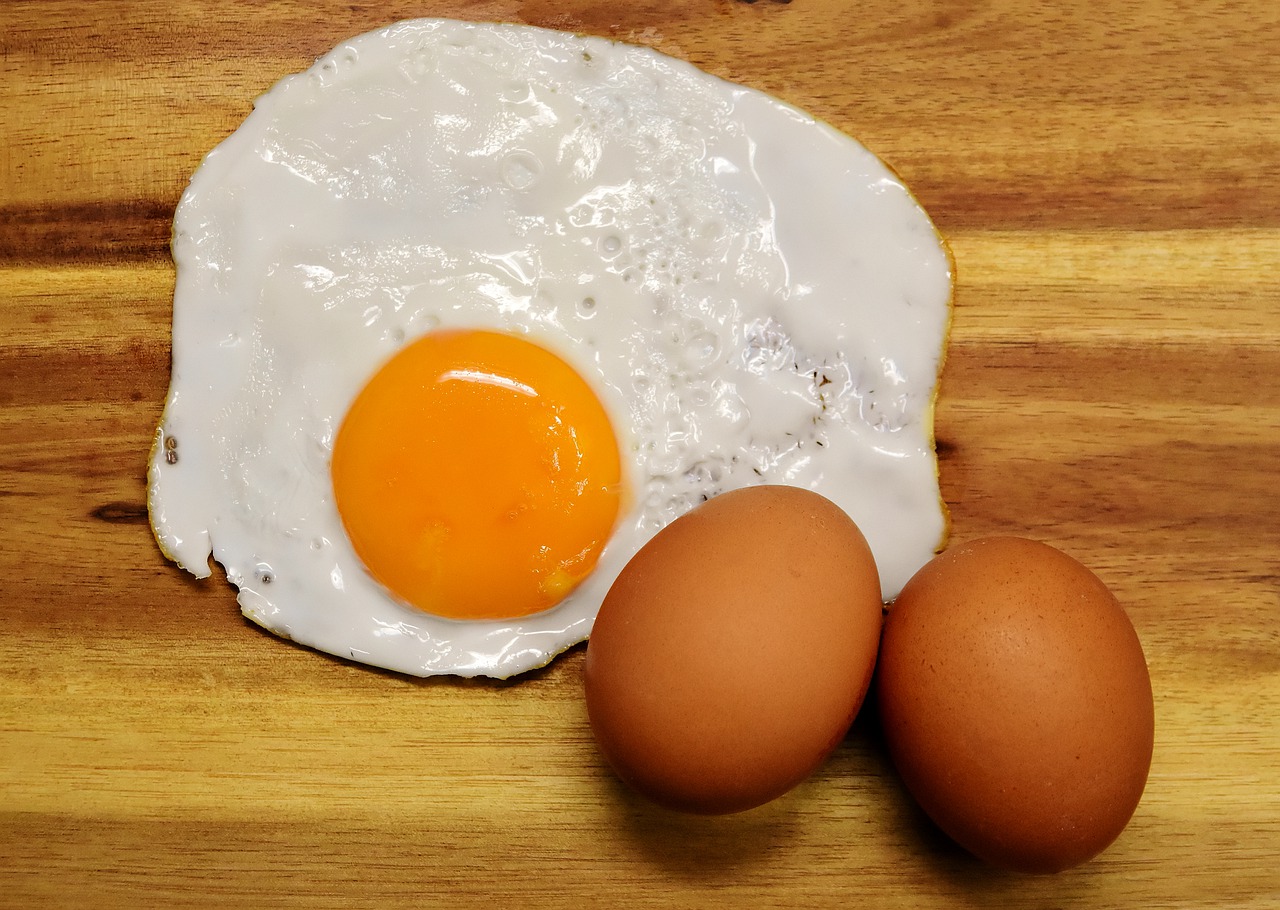 fried egg yolk protein free photo