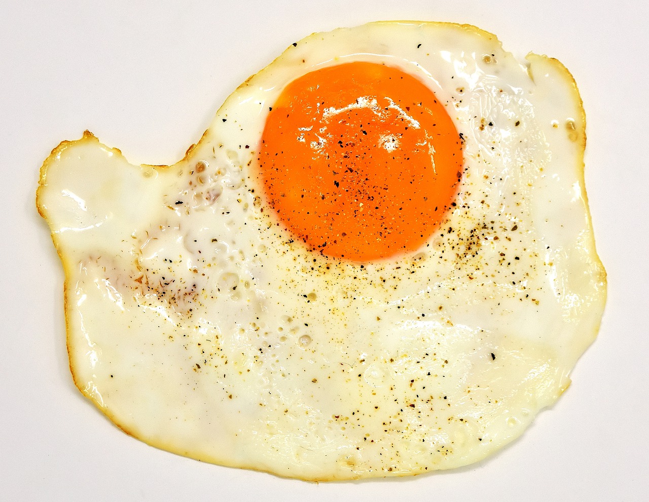 fried egg yolk protein free photo