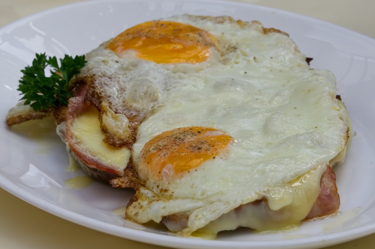 fried  egg  bread free photo