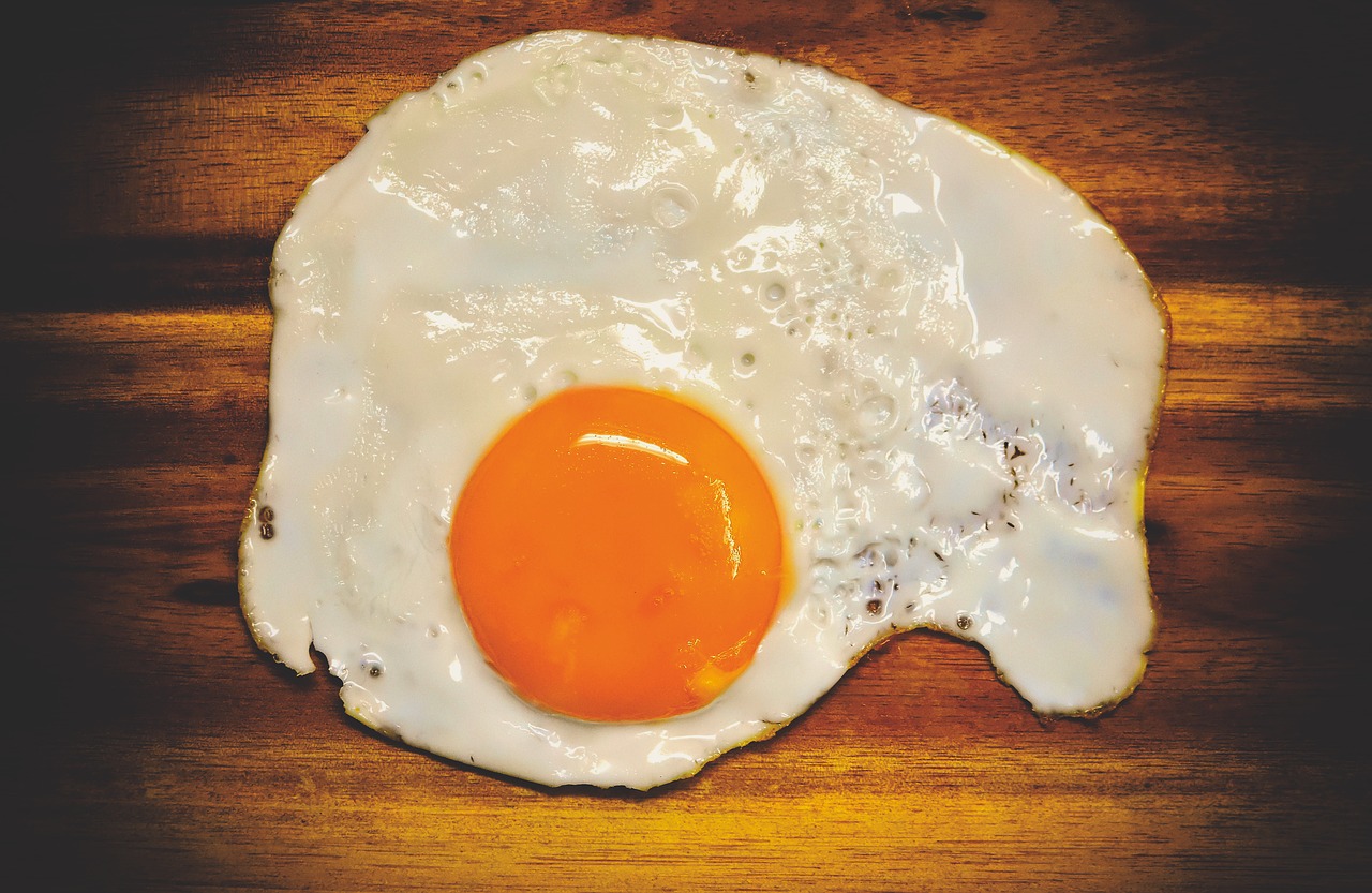 fried  egg yolk  protein free photo