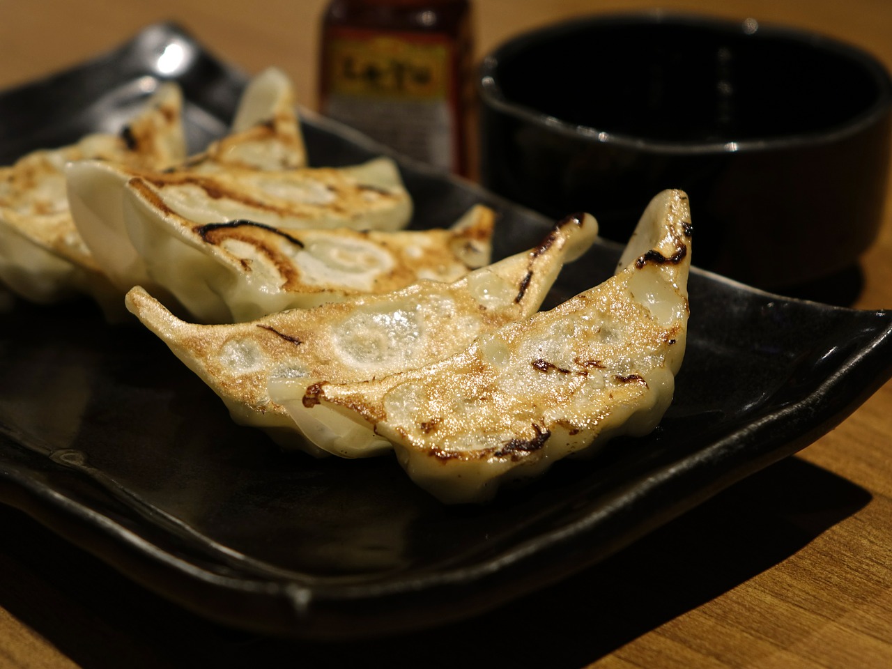 fried dumplings gyoza free photo