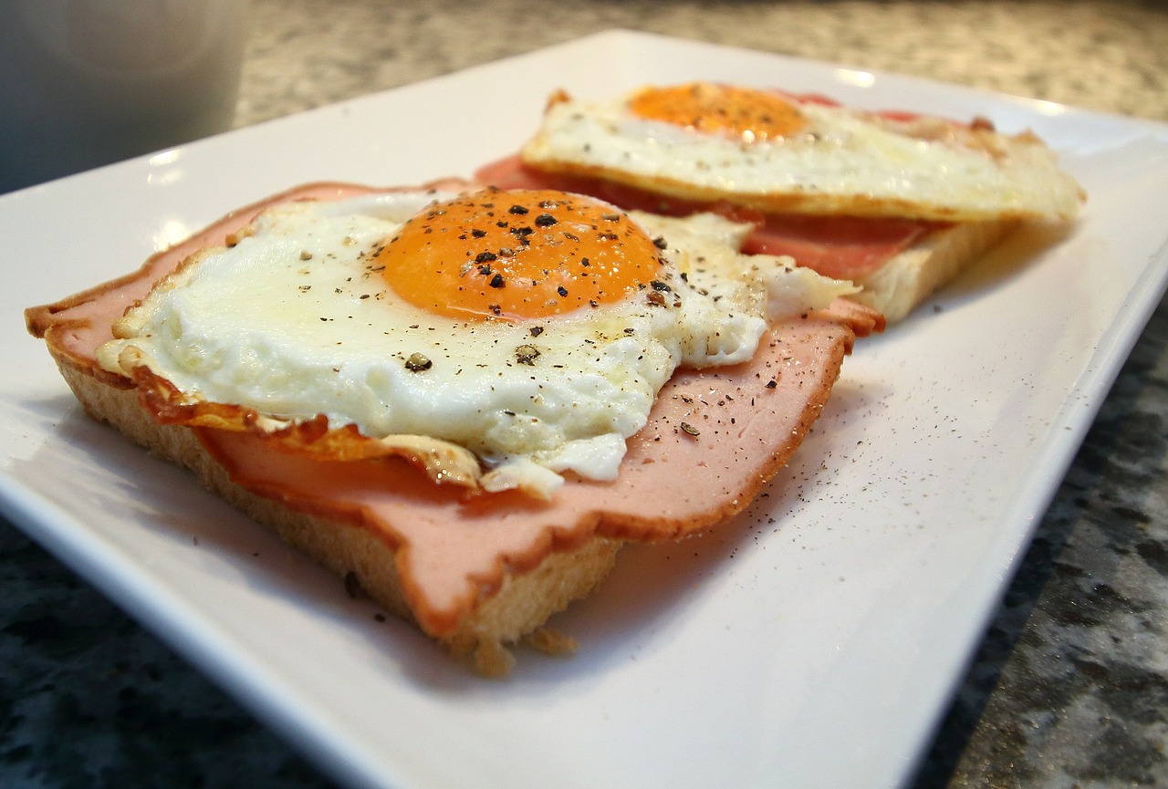 fried eat breakfast free photo