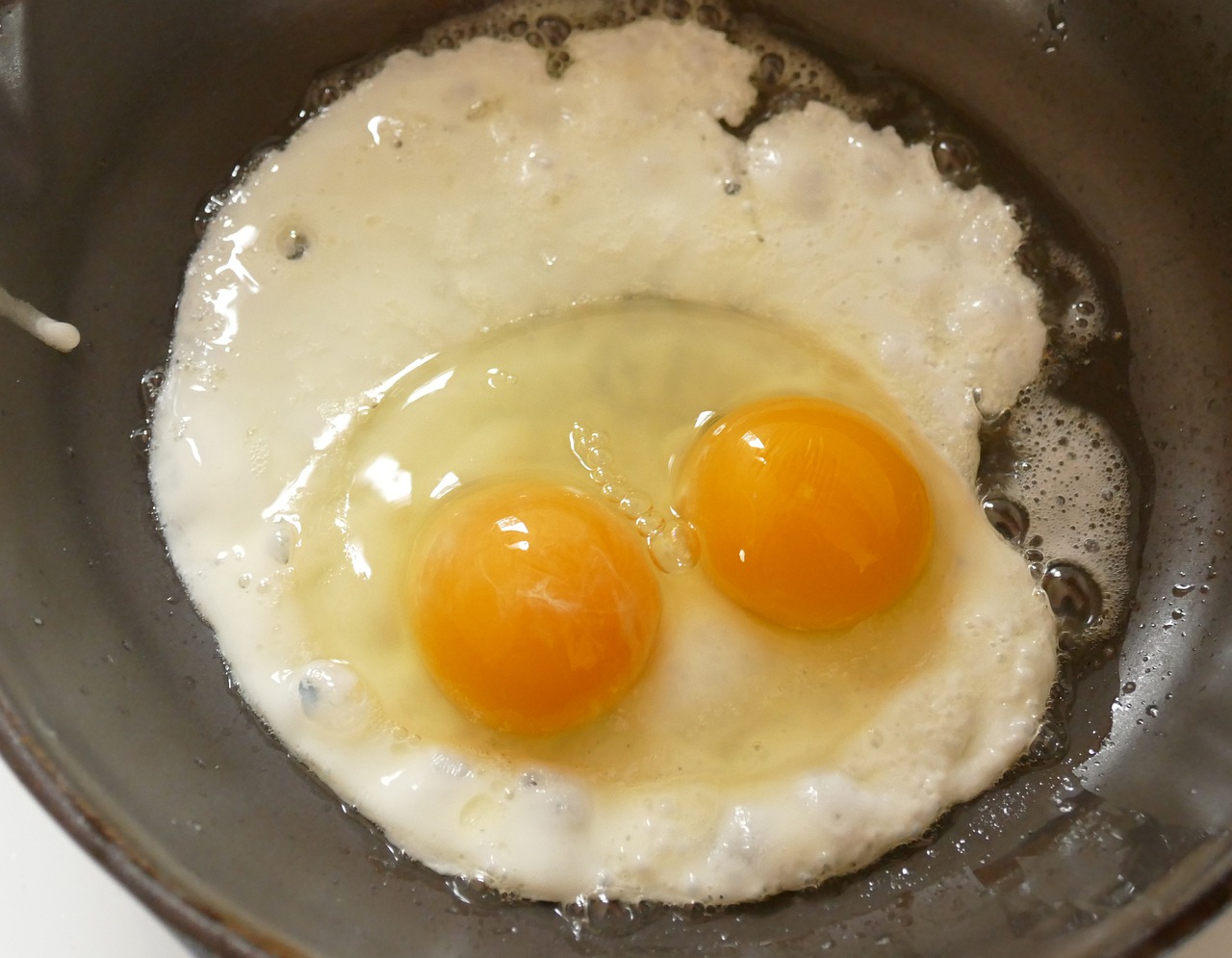 fried egg  double yolked egg  egg with two yolks free photo