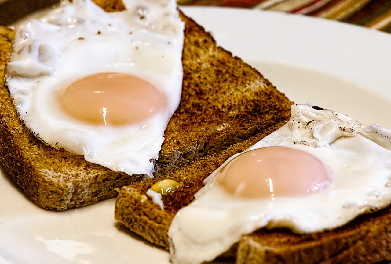 fried eggs breakfast toast free photo