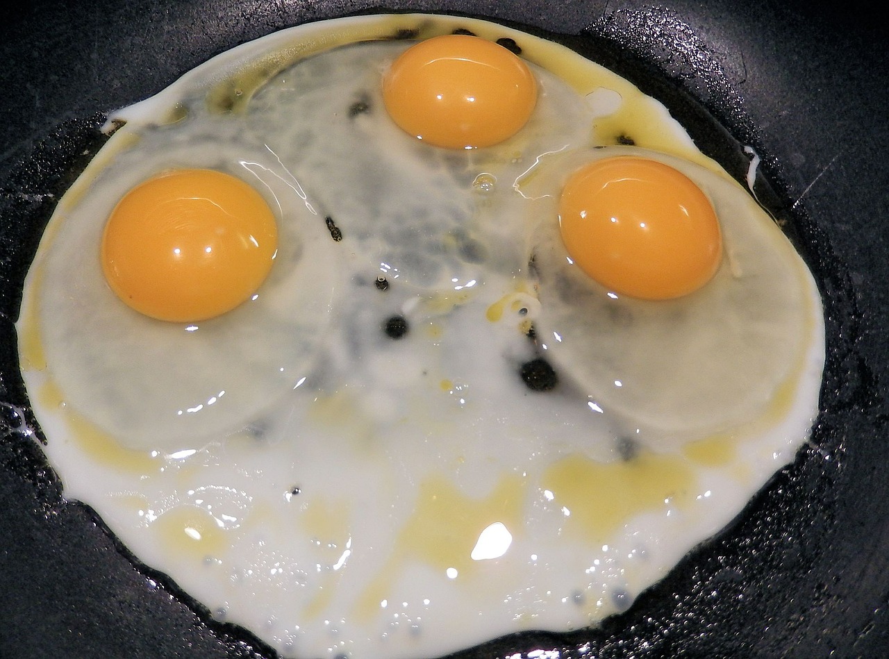 fried eggs eggs frying pan free photo