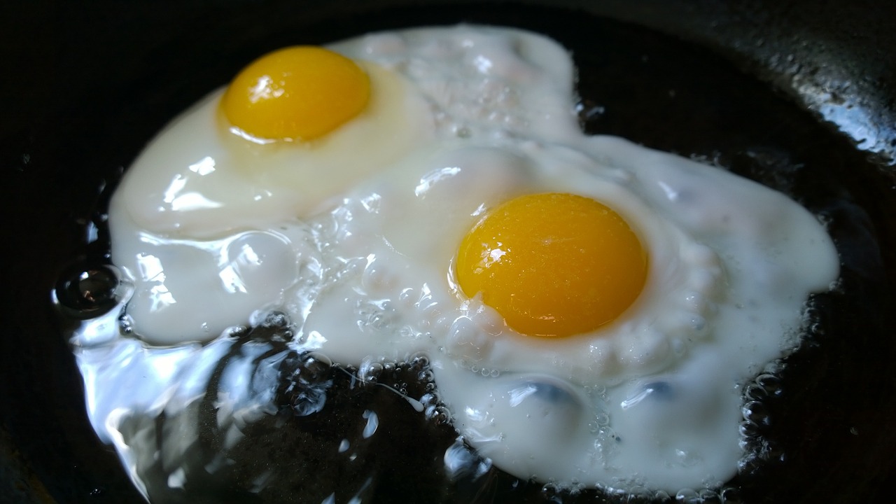 fried eggs breakfast food free photo