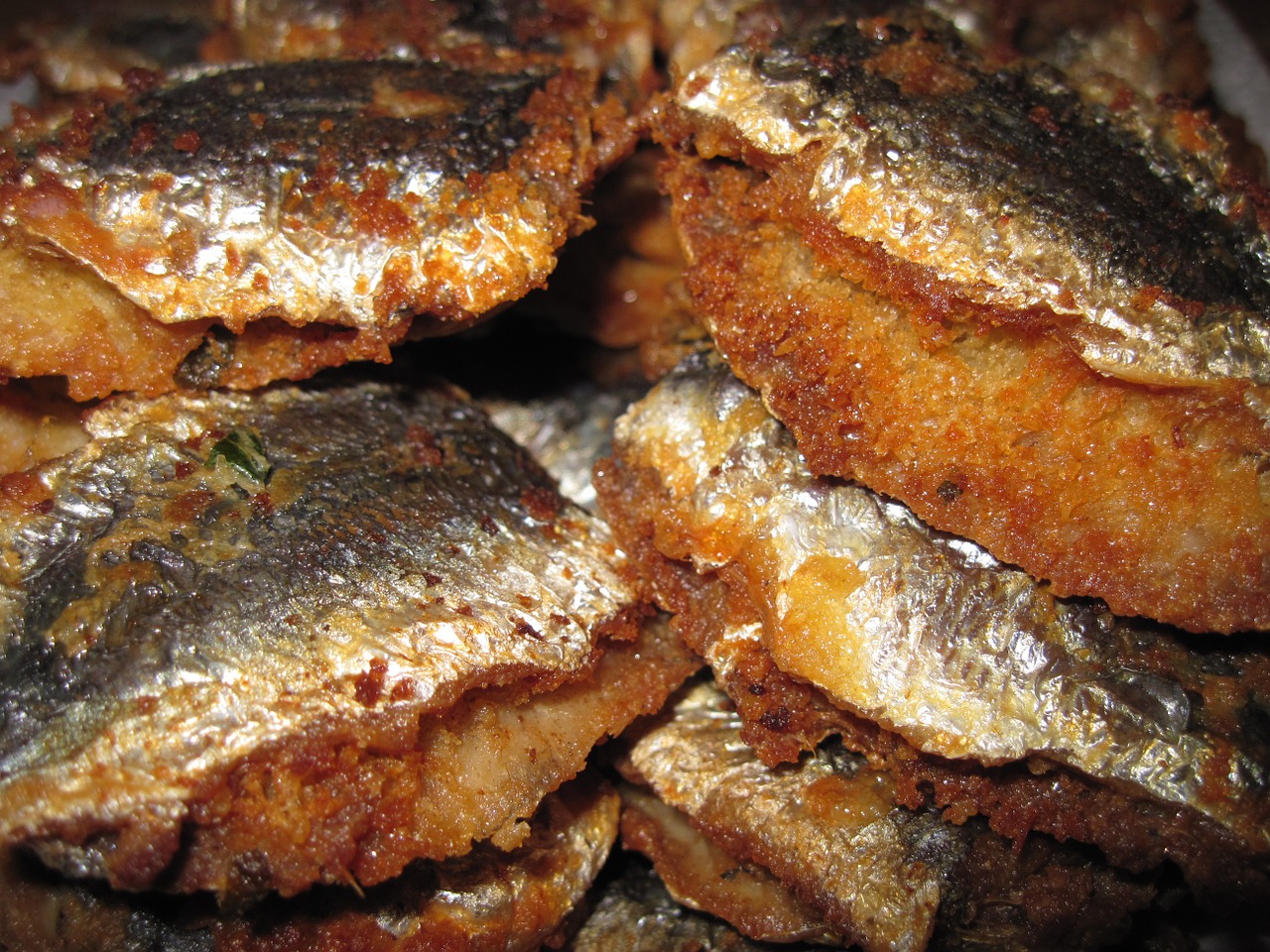 fried fish fried sardines sardines free photo