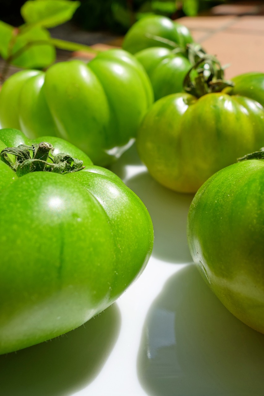 fried green tomatoes  tomatoes  green free photo