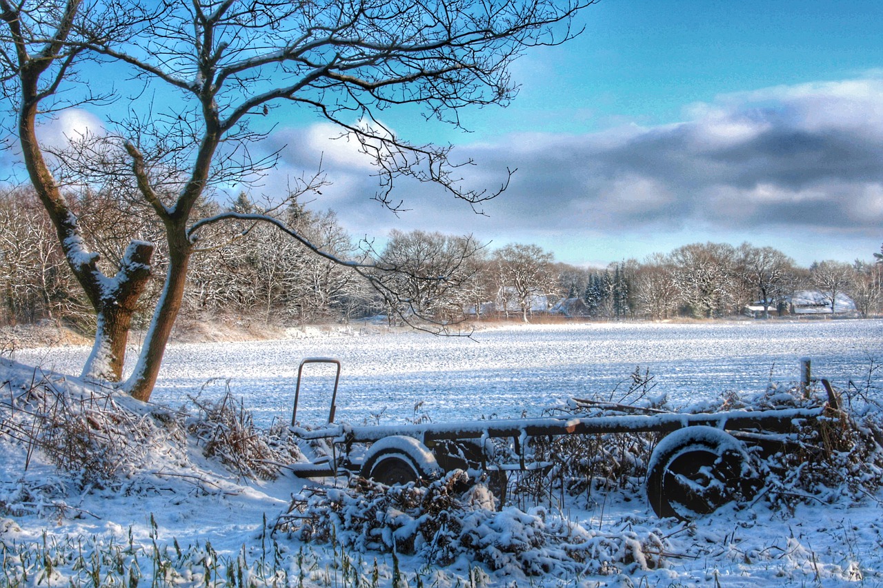 friedrichsfeld snow winter free photo