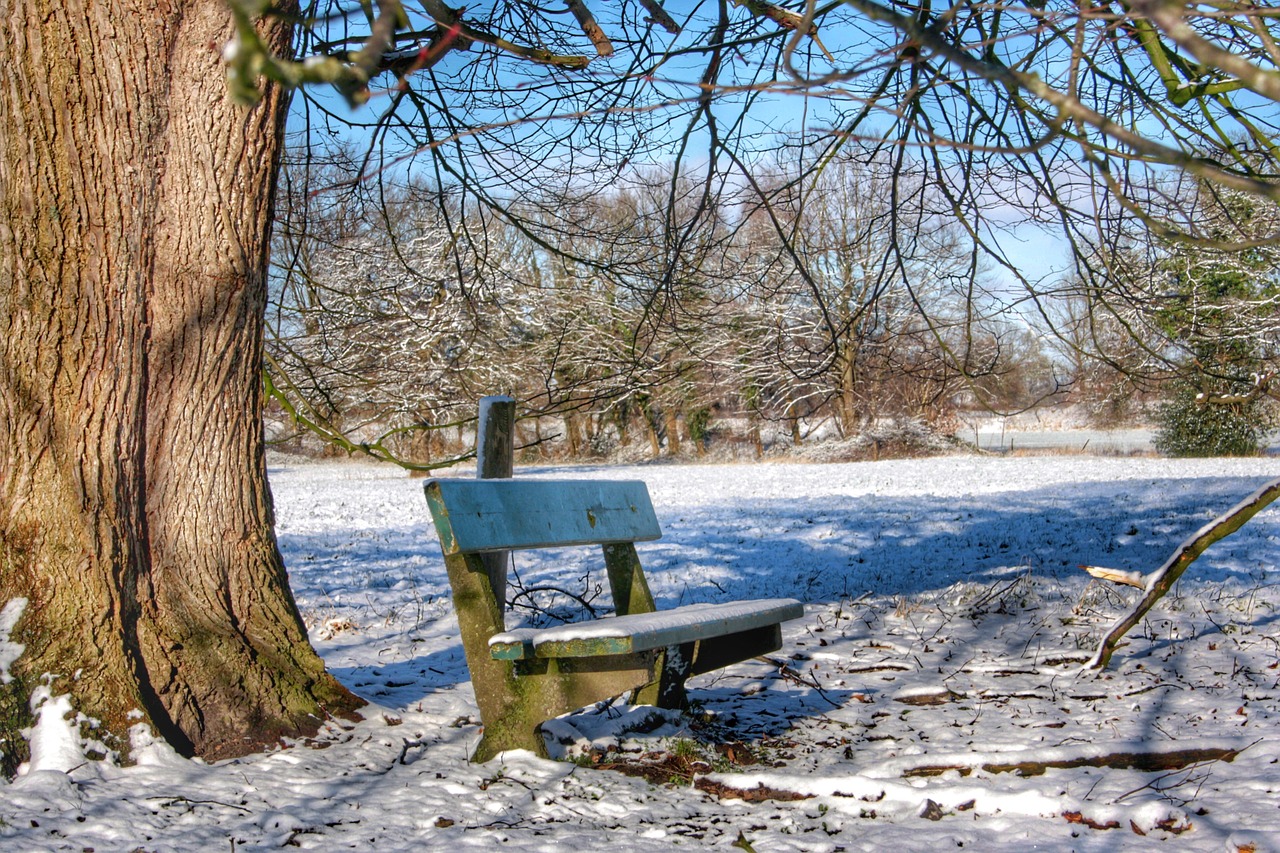 friedrichsfeld snow snow landscape free photo