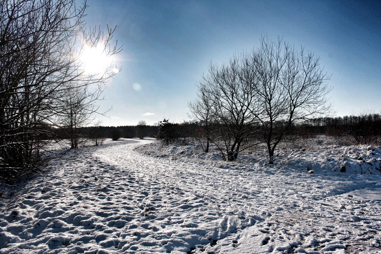 friedrichsfeld snow snow landscape free photo