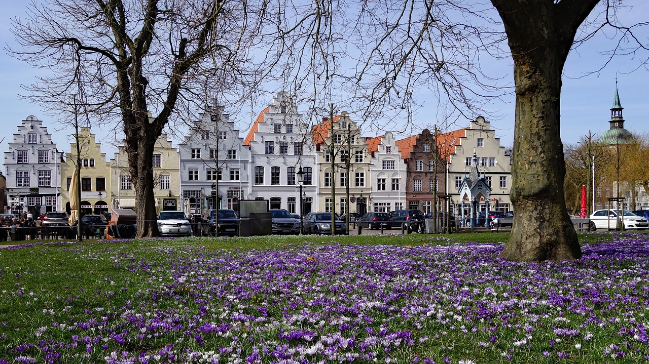 friedrichstadt  crocus  crocus flower free photo