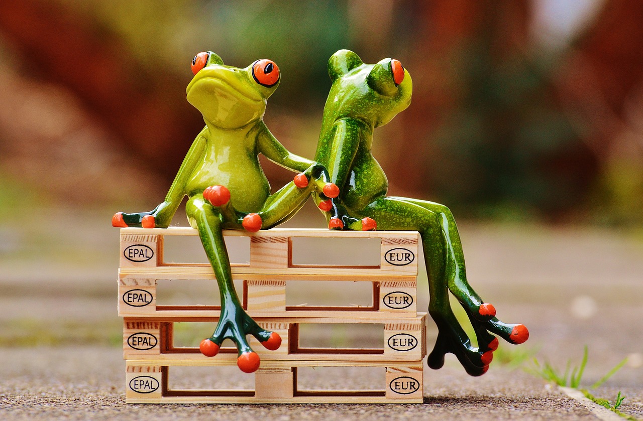 friends sit frogs free photo