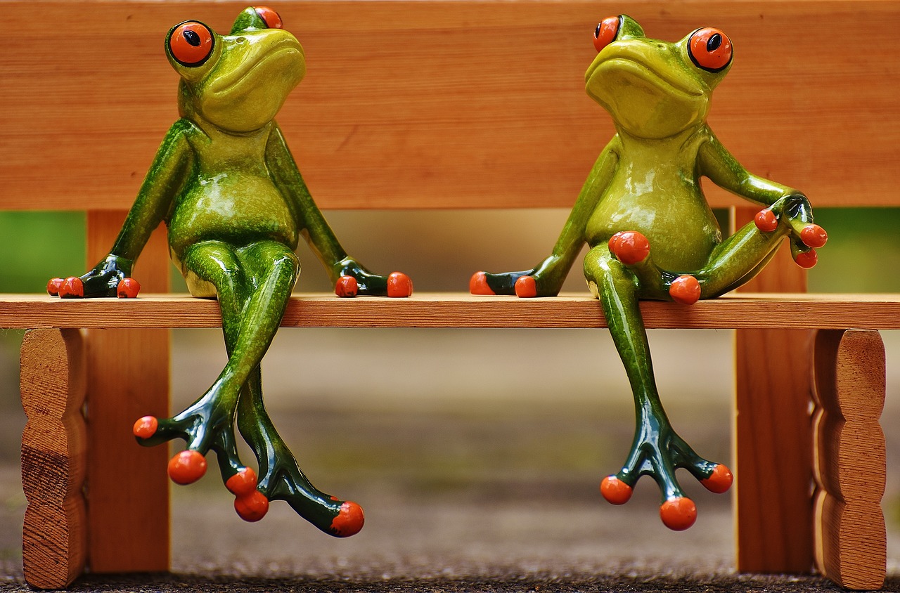 friends sit frogs free photo