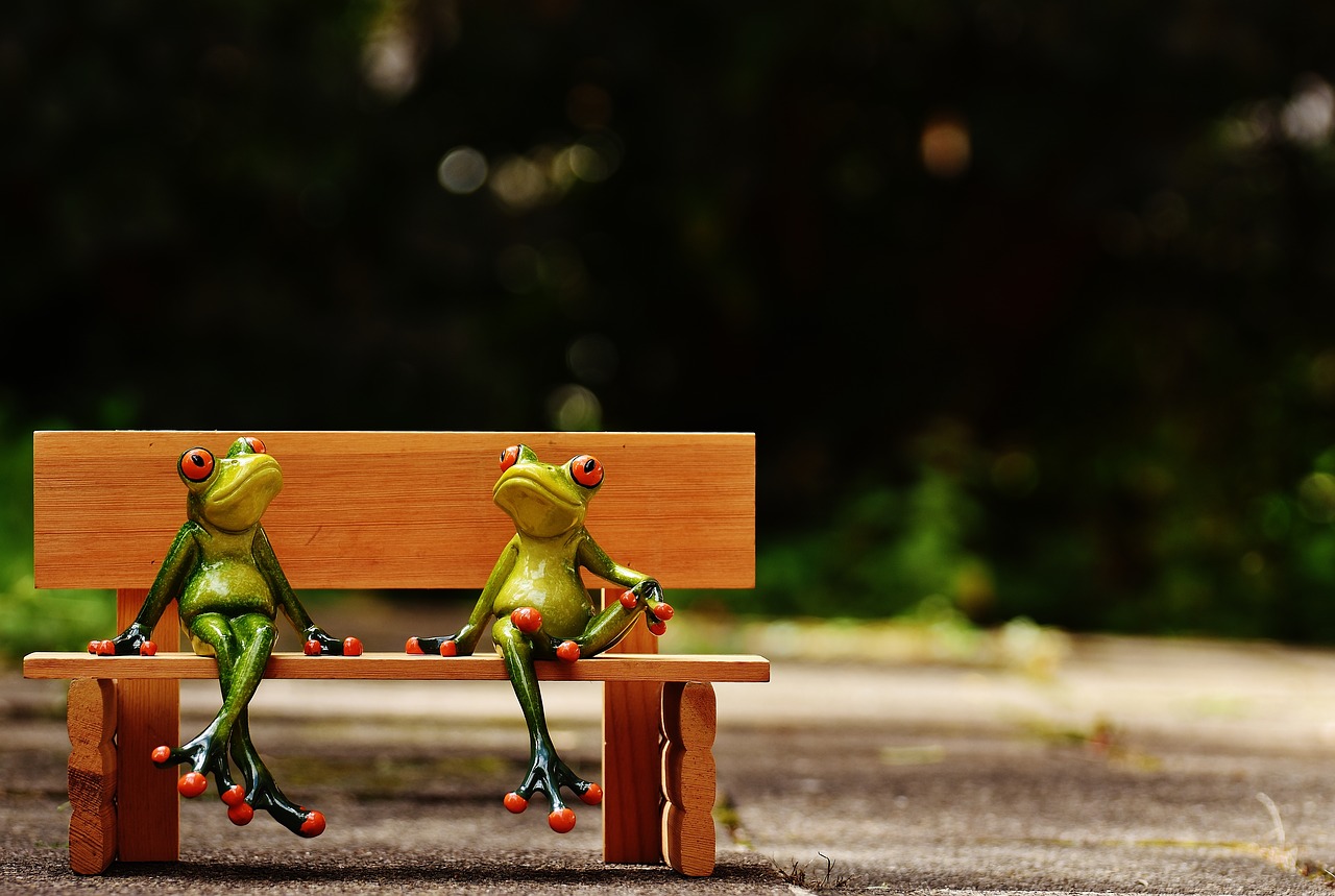 friends sit frogs free photo