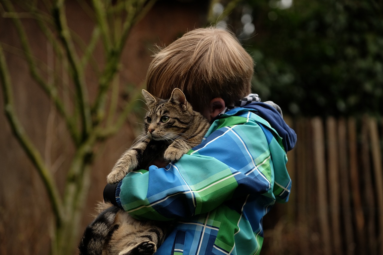 friendship child cat free photo