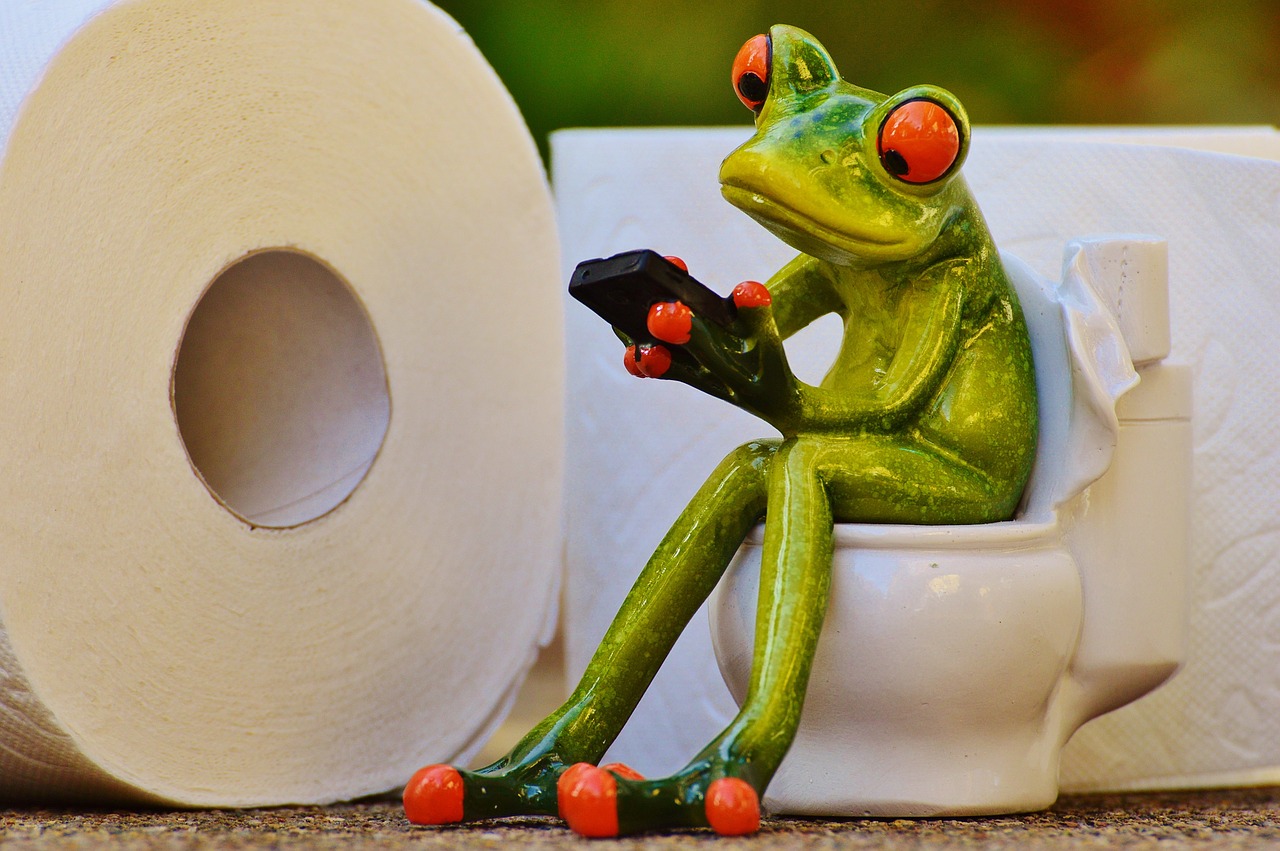 frog toilet loo free photo