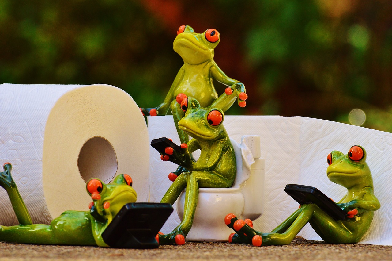 frog toilet loo free photo