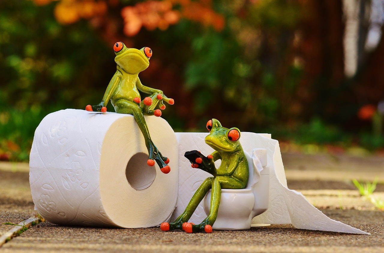 frog toilet loo free photo