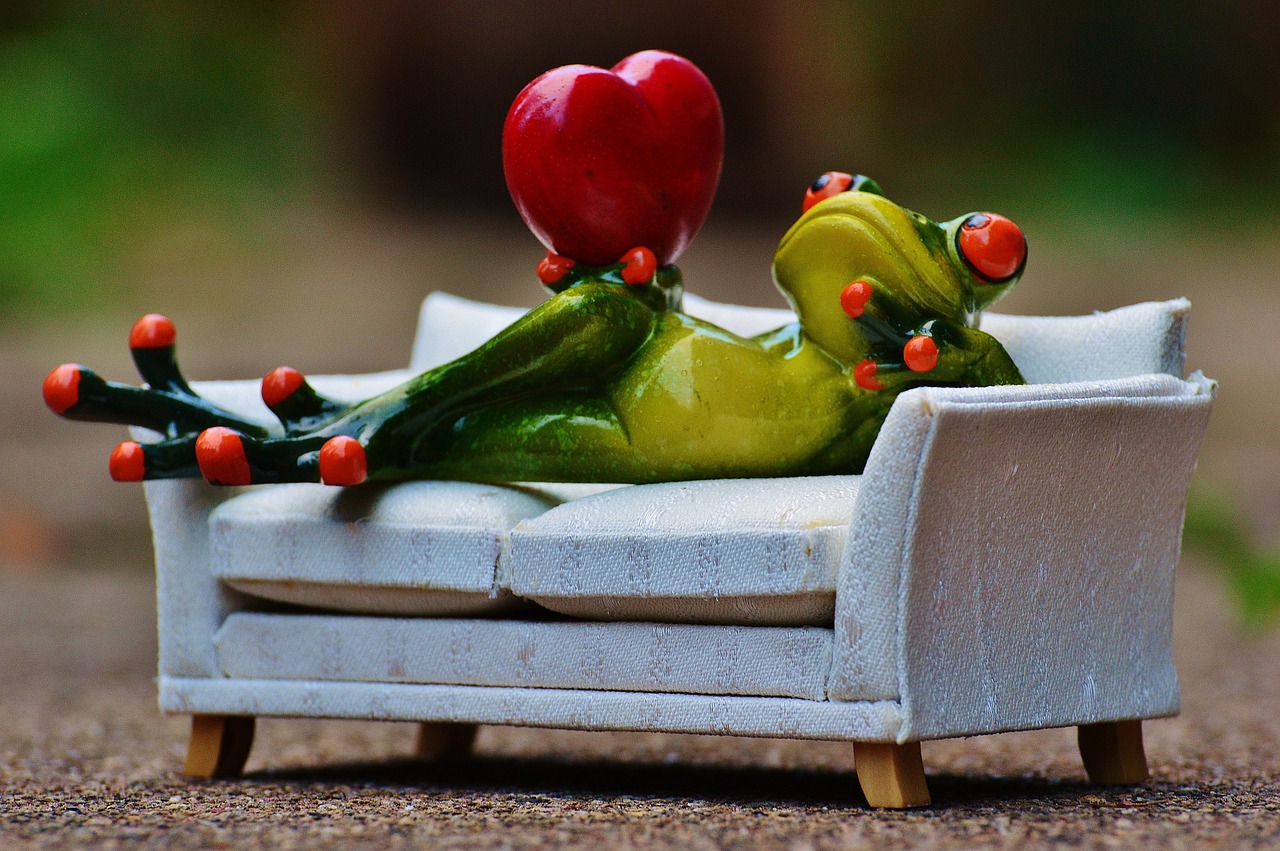 frog love sofa free photo