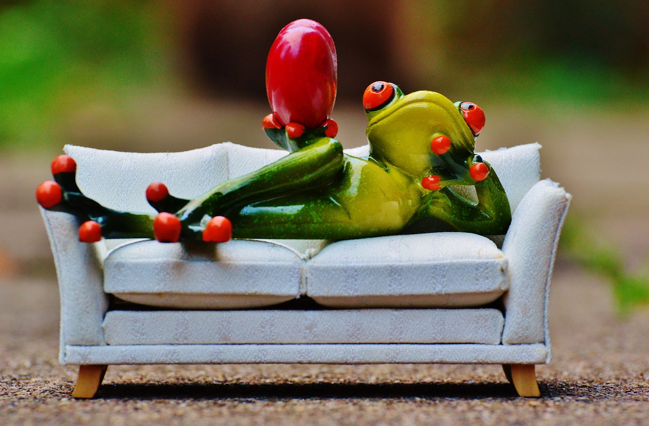 frog love sofa free photo