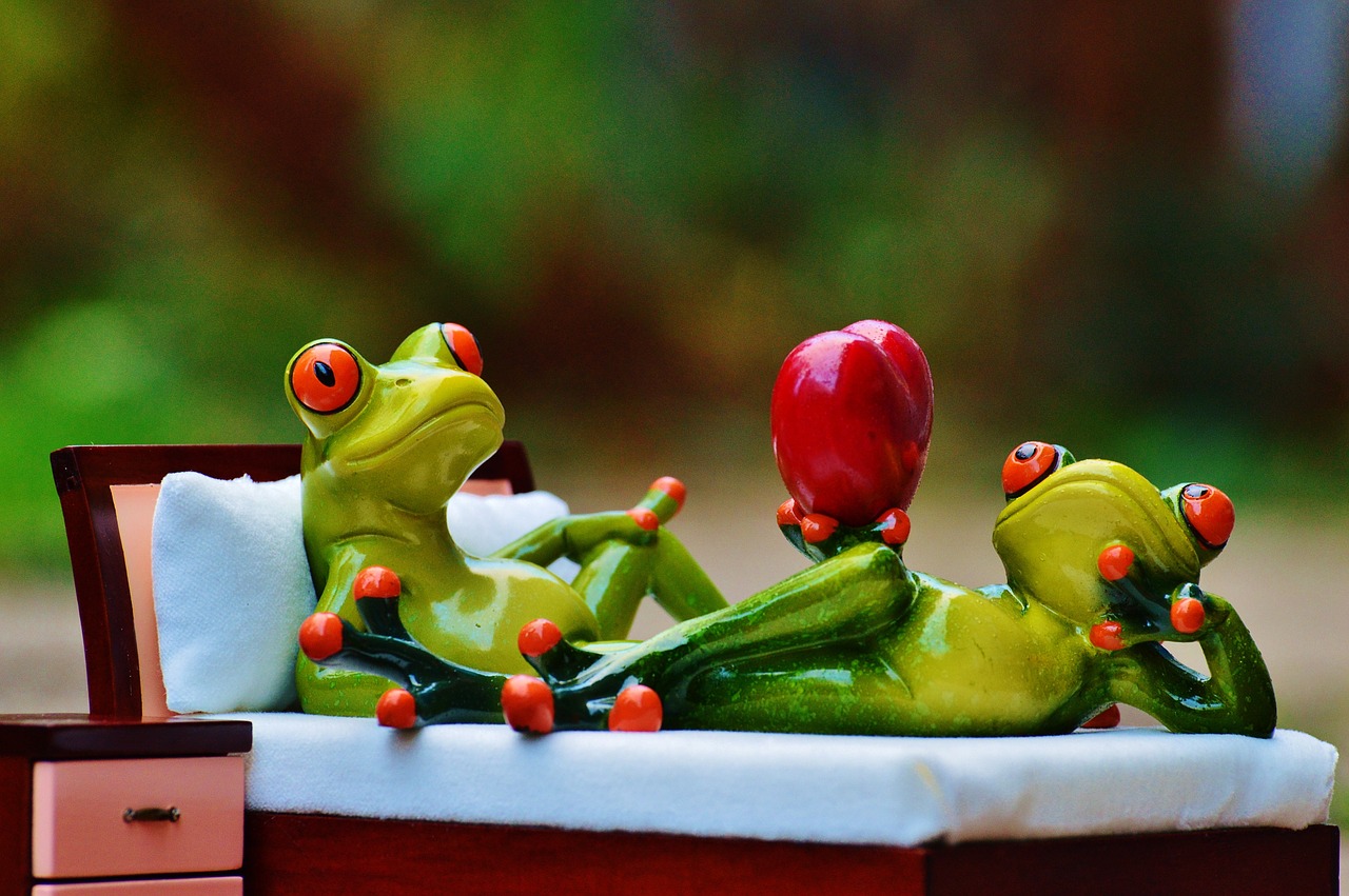 frog love bed free photo