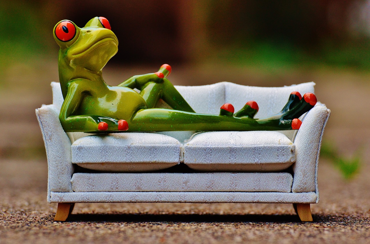 frog sofa relaxation free photo