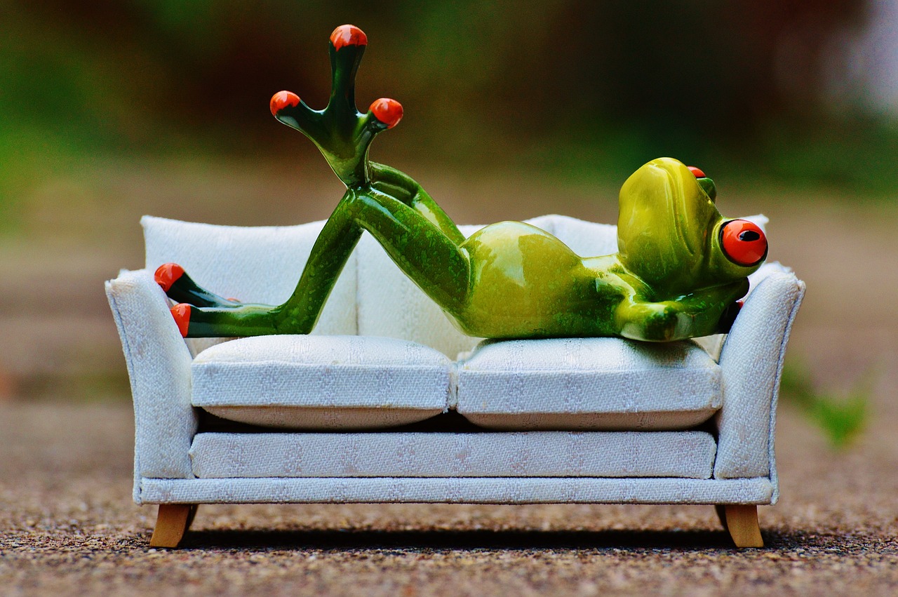 frog sofa relaxation free photo