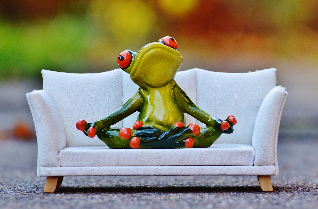frog sofa relaxation free photo