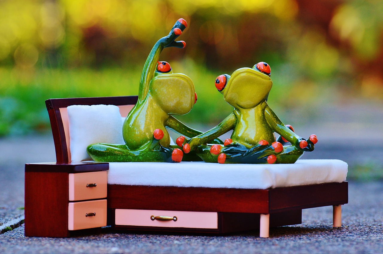 frog yoga bed free photo