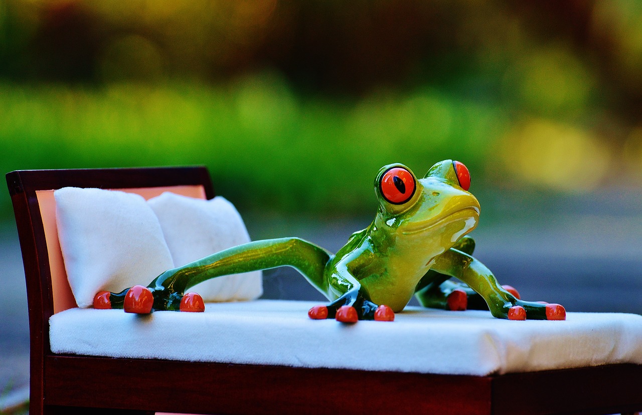 frog bed figure free photo