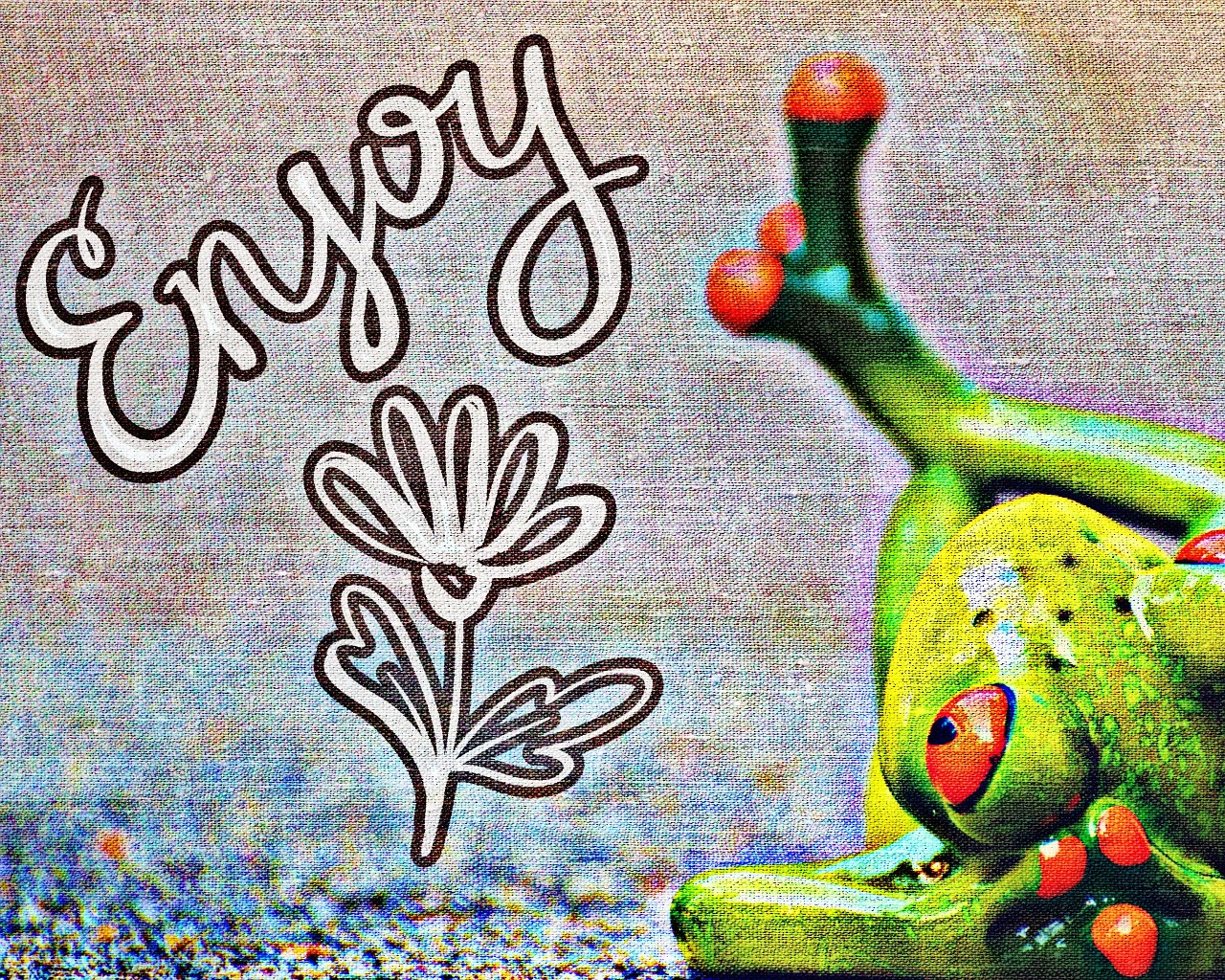 frog enjoy tissue free photo