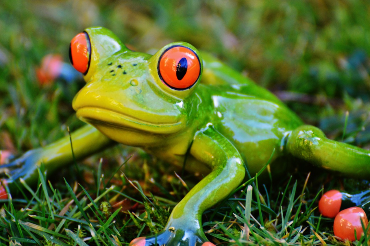 frog meadow figure free photo