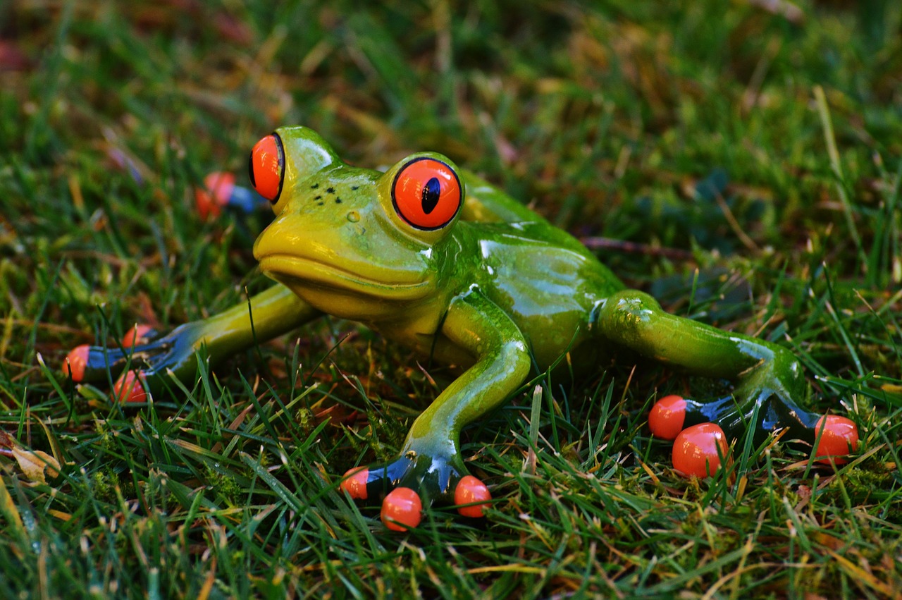 frog meadow figure free photo