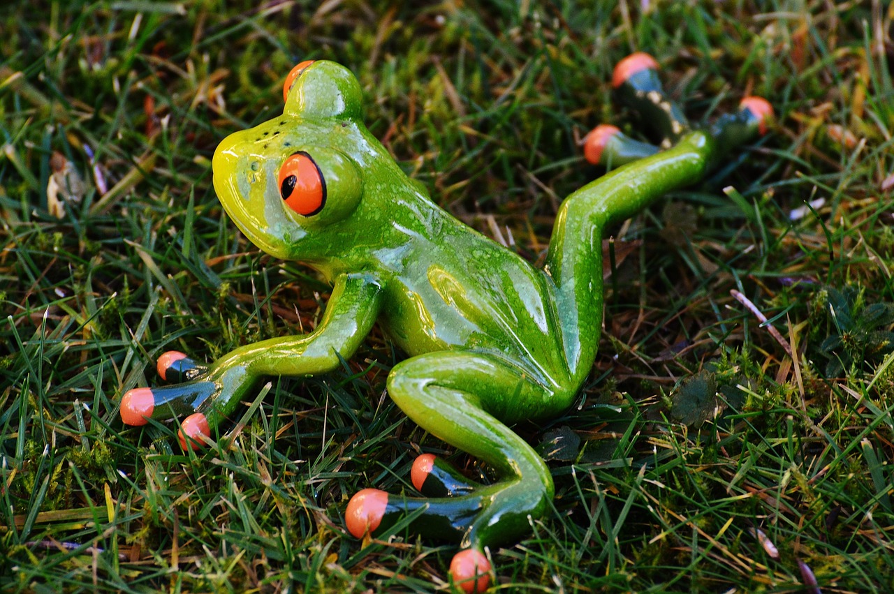 frog meadow figure free photo