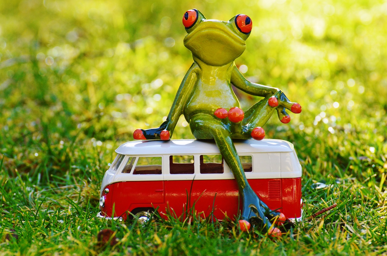 frog bulli volkswagen free photo