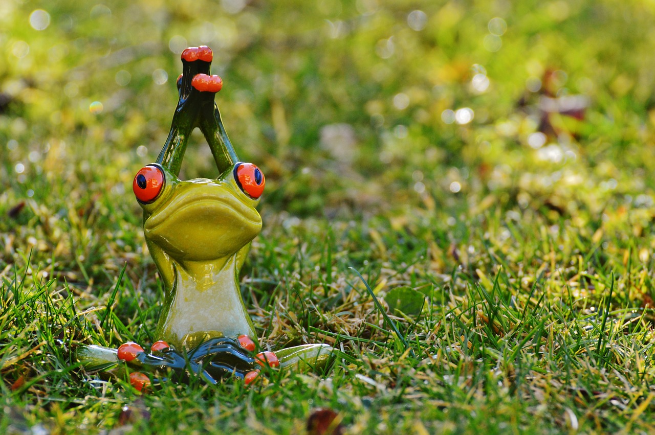 frog yoga meadow free photo