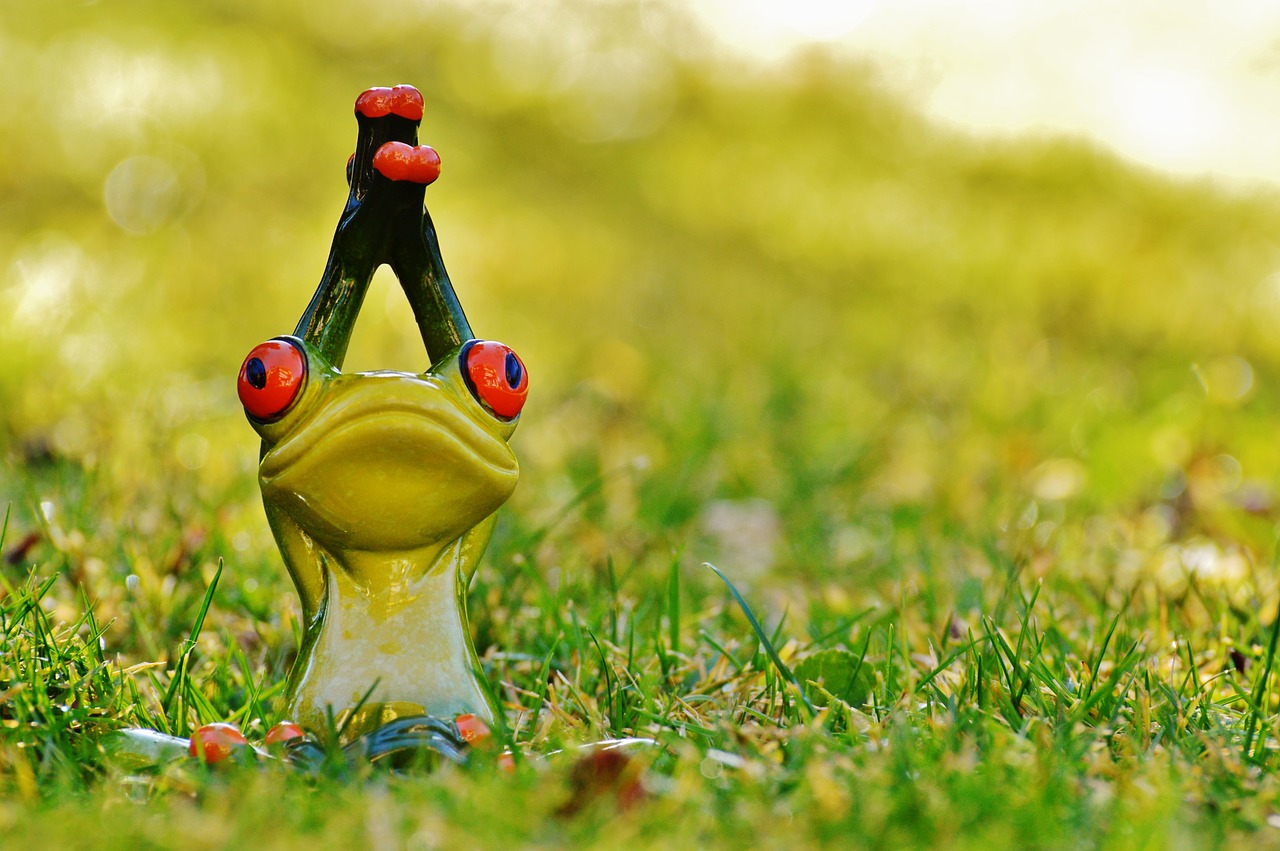 frog yoga meadow free photo