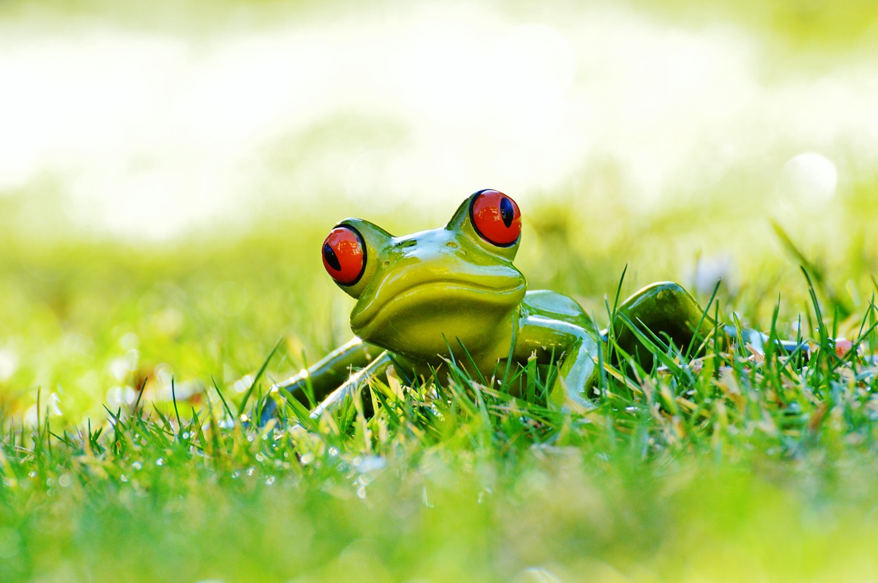 frog meadow figure free photo